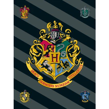 Harry Potter HP067 fleecová deka 1881