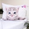 LS Kitten Colour 47a2ce155571fcb