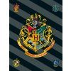 Harry Potter HP067 fleecová deka 1881