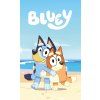 Bluey fleecová deka 4083